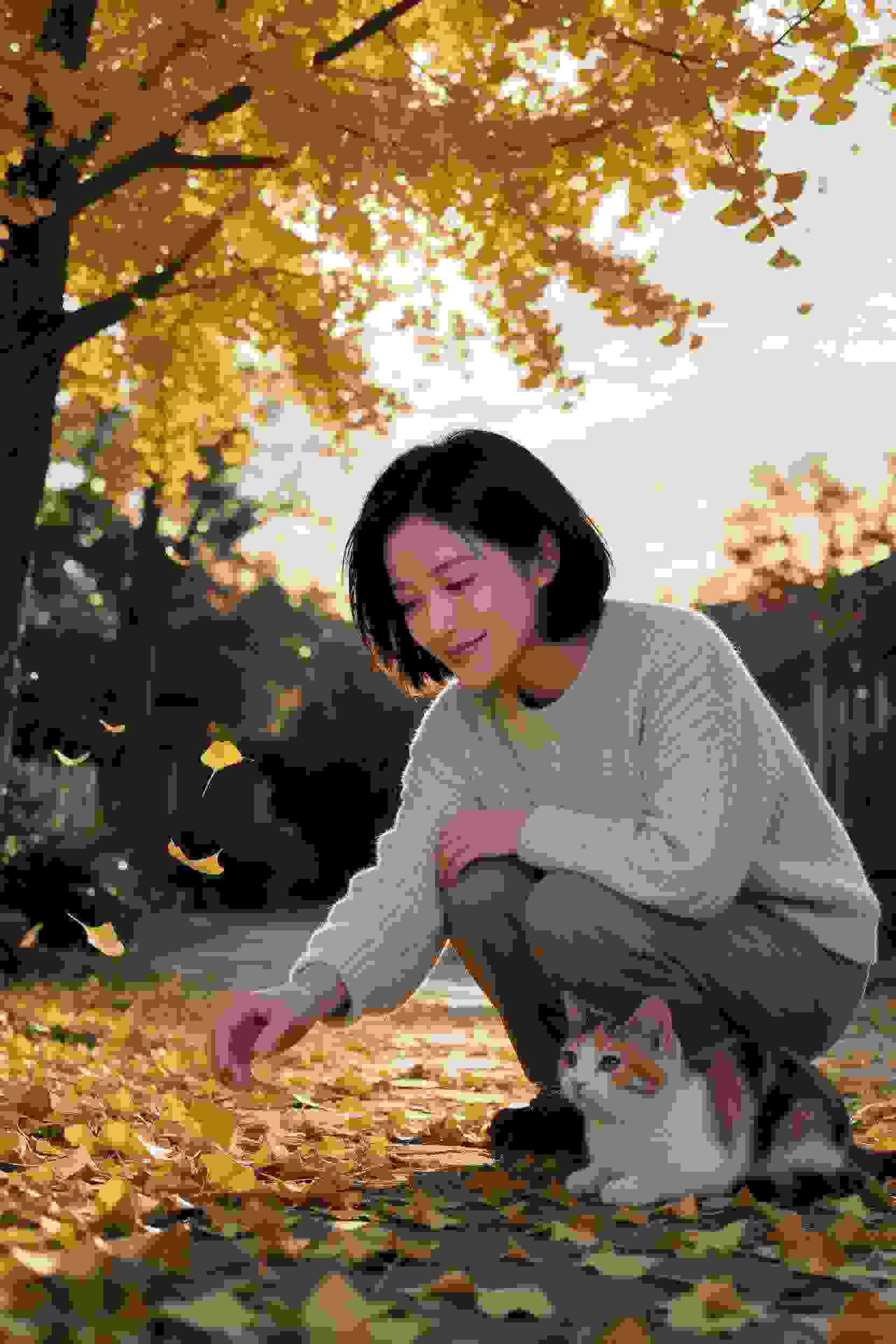 上司的心意